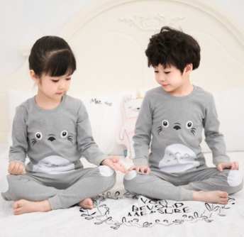 Grey Penguin Printed Kids Wear (Each)